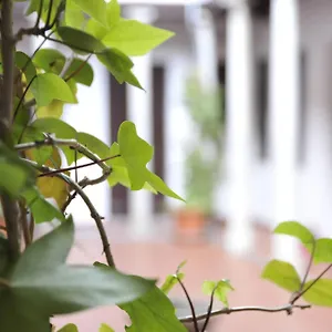  Apartament Adanar-las Columnas